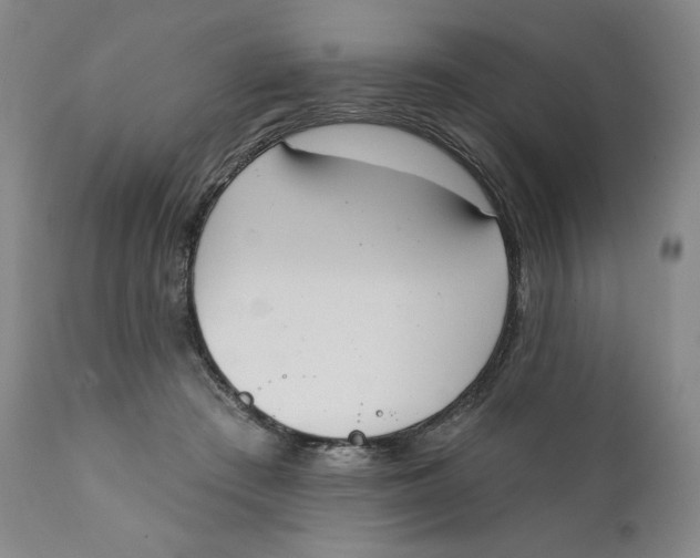 X0000111220409200907231445