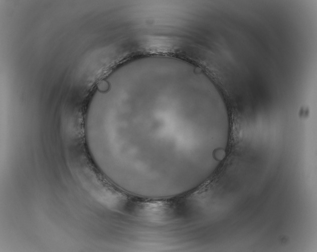 X0000111220411200907231445