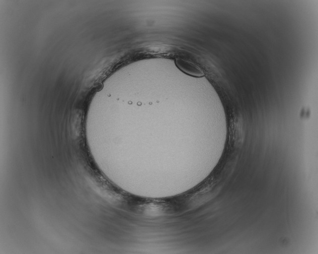 X0000111220412200907231445