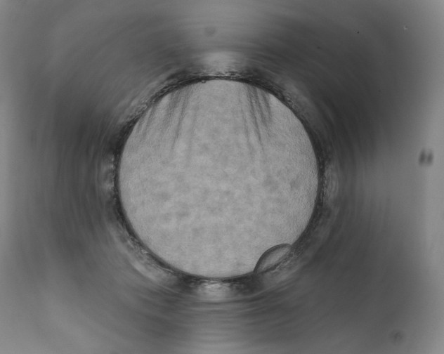 X0000111220413200907231445