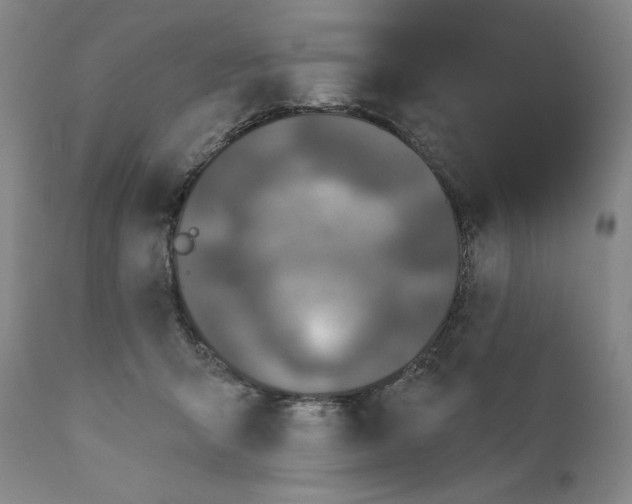 X0000111220415200907231445