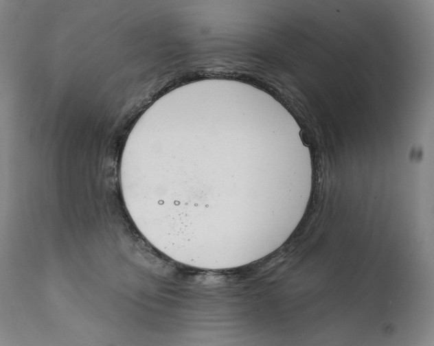 X0000111220419200907231445