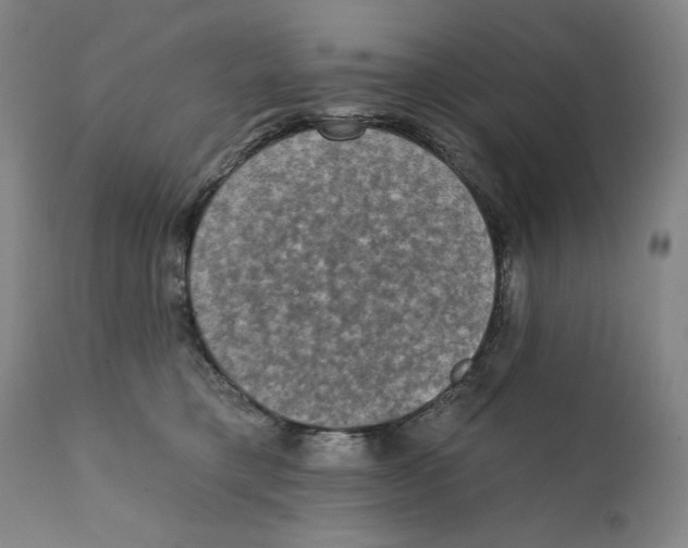 X0000111220421200907231445