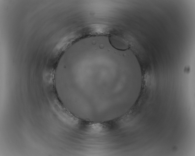 X0000111220423200907231445