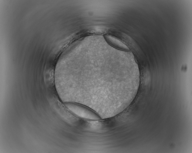 X0000111220425200907231445