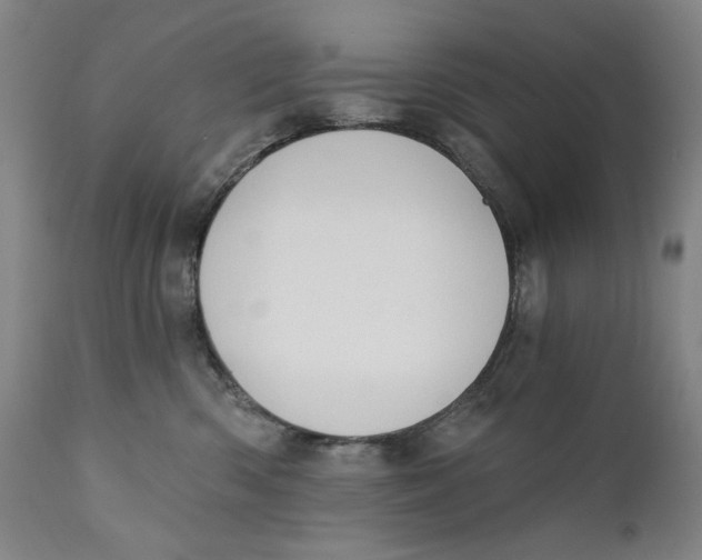 X0000111220426200907231445