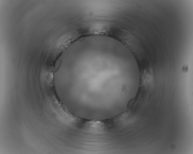 X0000111220427200907231445