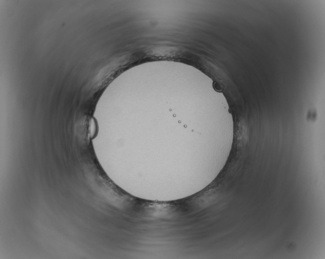 X0000111220428200907231445