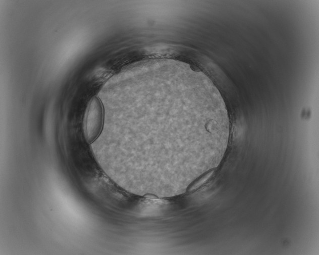 X0000111220429200907231445