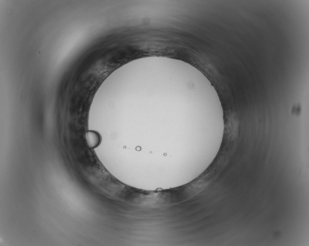 X0000111220430200907231445