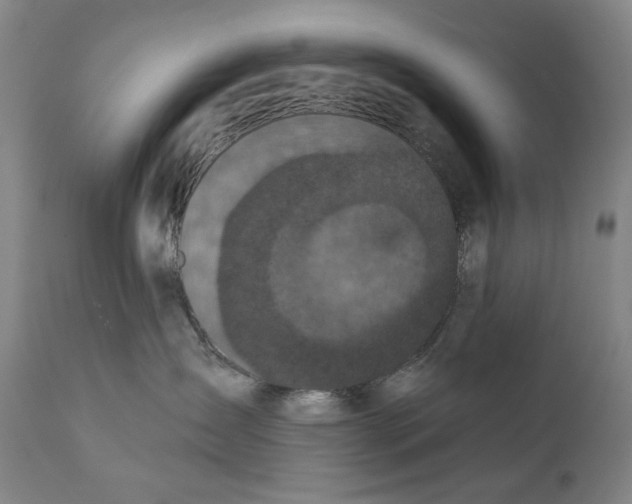 X0000111220431200907231445