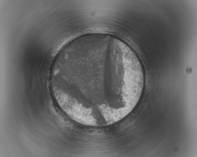 X0000111220434200907231444