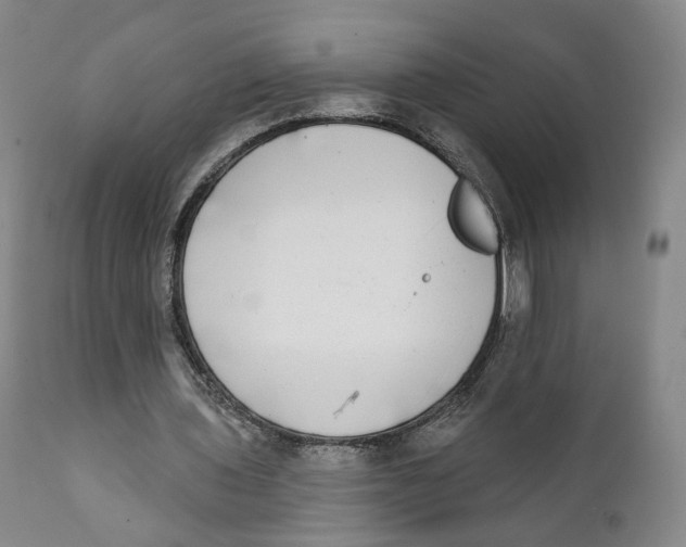 X0000111220435200907231444
