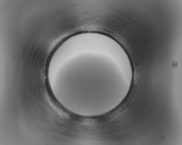 X0000111220438200907231444
