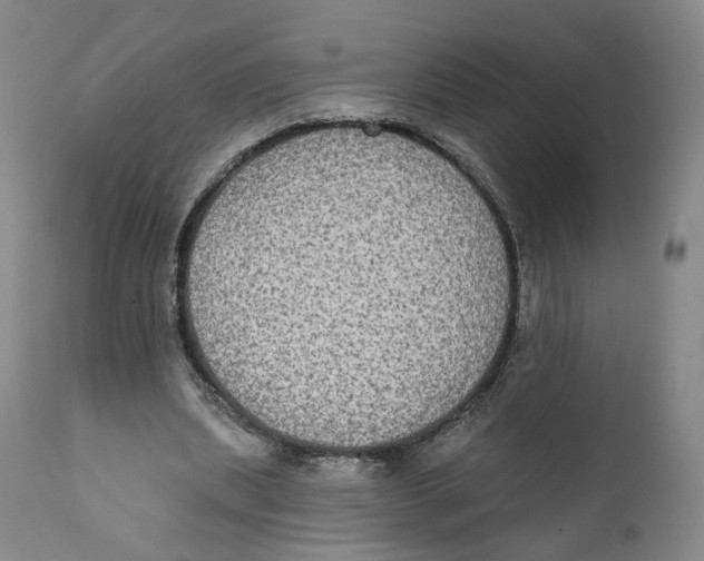 X0000111220439200907231444