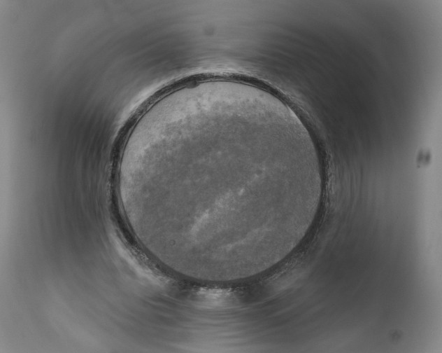 X0000111220440200907231444