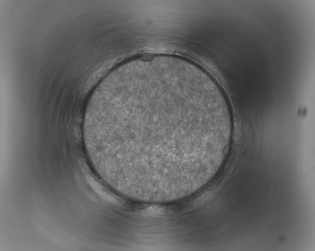 X0000111220441200907231444