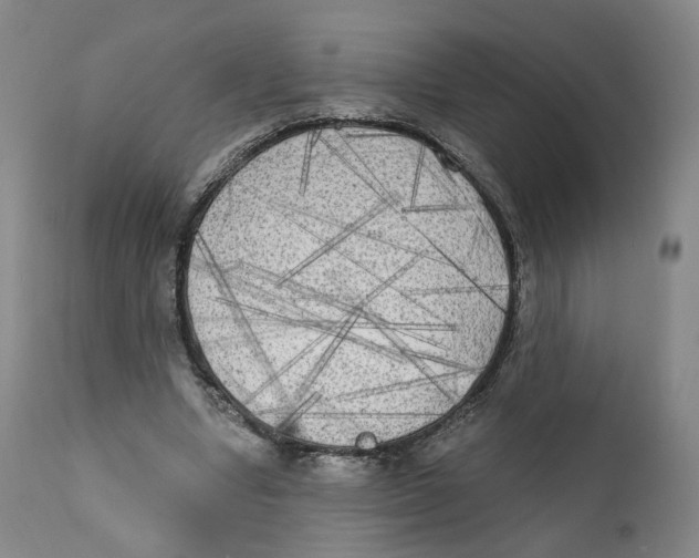 X0000111220442200907231444