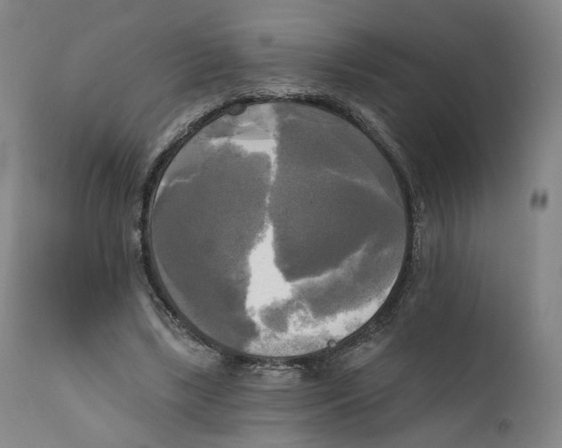 X0000111220443200907231444