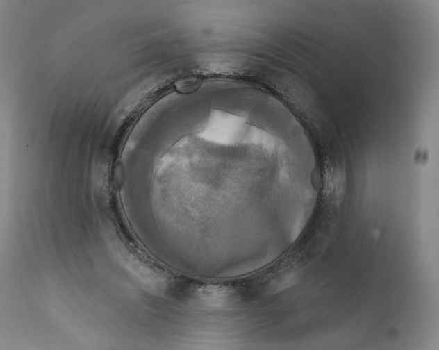 X0000111220444200907231444