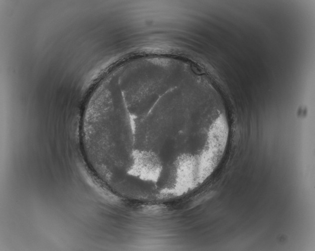 X0000111220446200907231444
