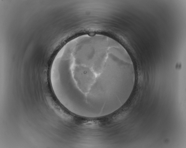 X0000111220447200907231444