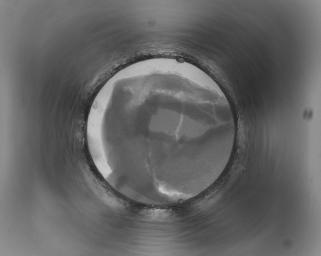 X0000111220449200907231444