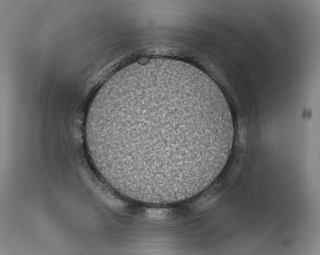 X0000111220450200907231444