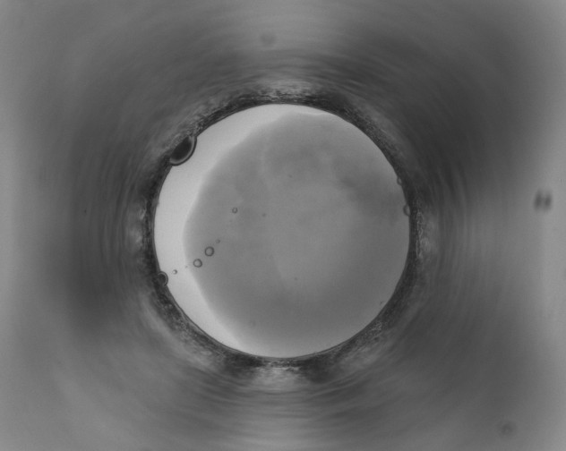 X0000111220451200907231444