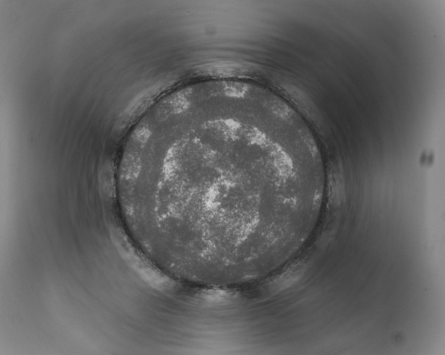 X0000111220453200907231444