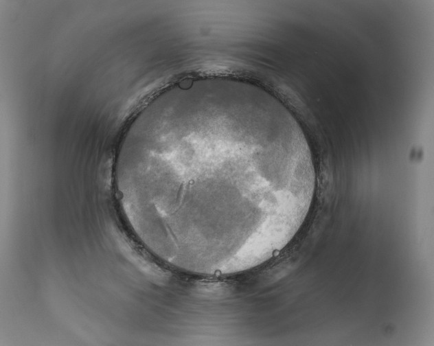 X0000111220454200907231444
