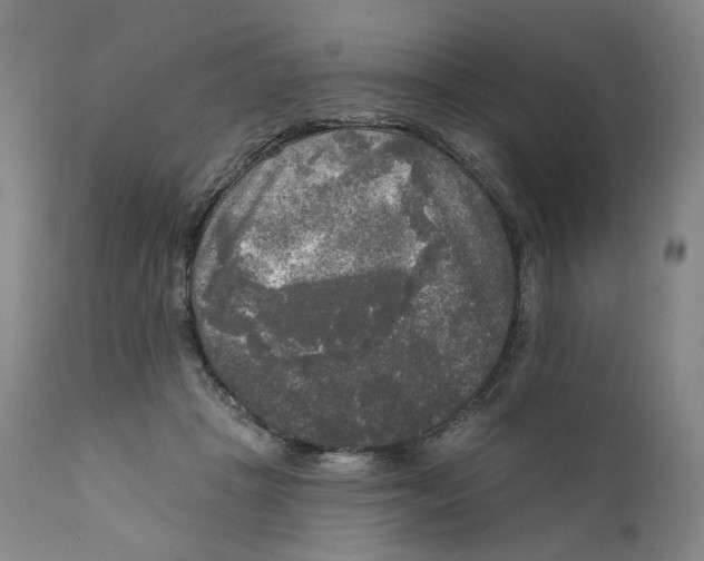 X0000111220457200907231444