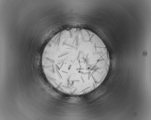 X0000111220458200907231444