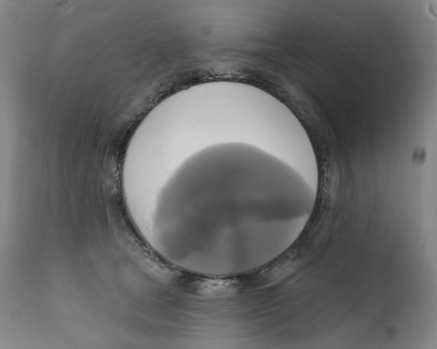 X0000111220465200907231444