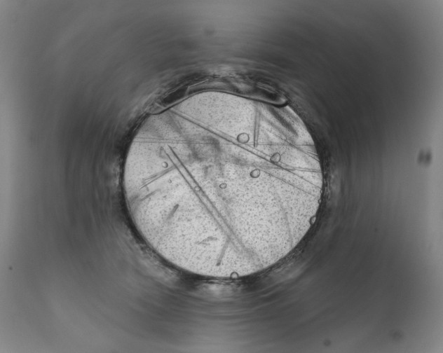 X0000111220466200907231444