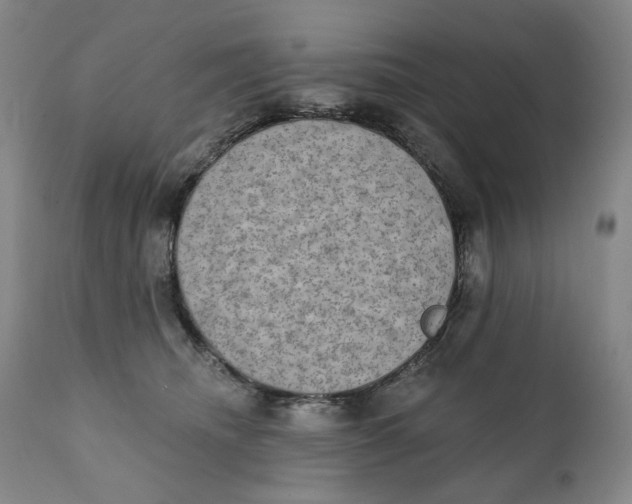 X0000111220468200907231445