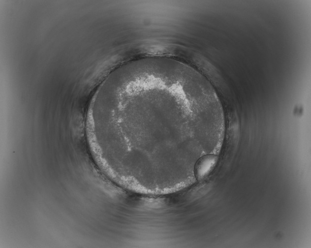 X0000111220469200907231445