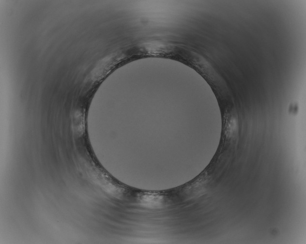 X0000111220471200907231445