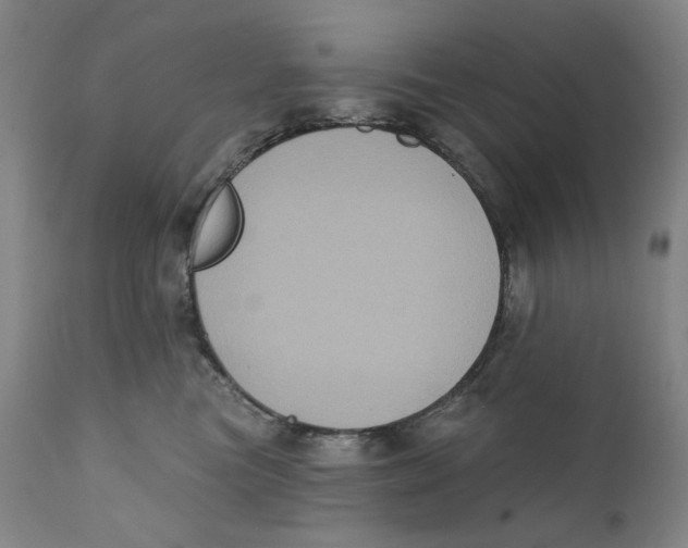 X0000111220473200907231445