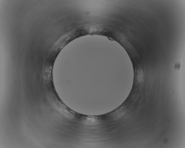 X0000111220475200907231445