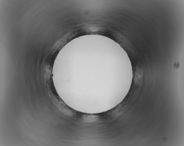 X0000111220476200907231445