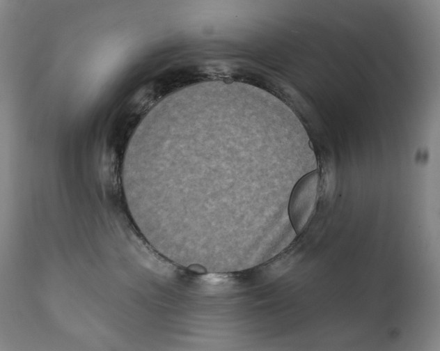 X0000111220477200907231445