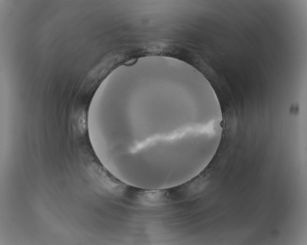 X0000111220479200907231445