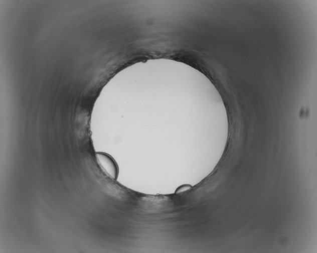 X0000111220480200907231445