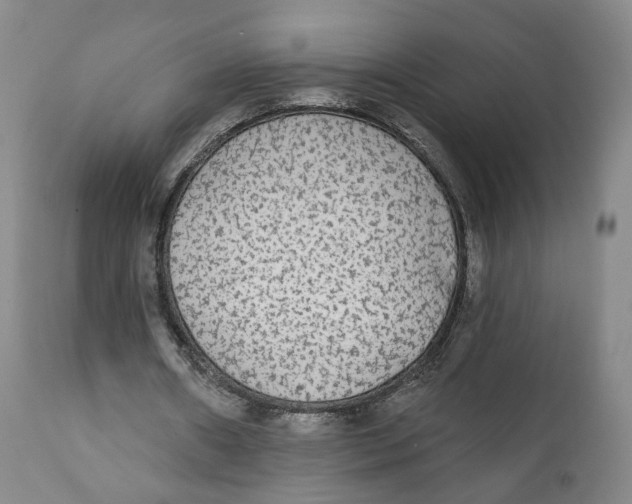 X0000111220482200907231444