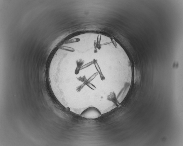 X0000111220483200907231444