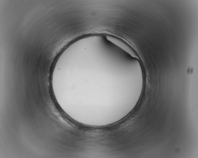 X0000111220485200907231444