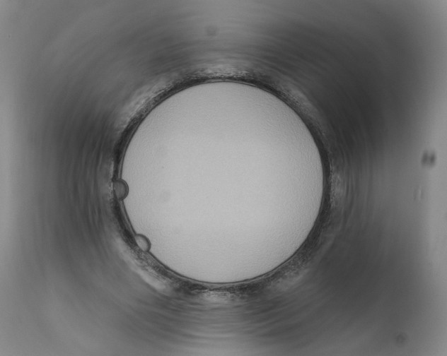 X0000111220490200907231444