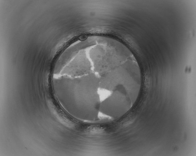 X0000111220491200907231444