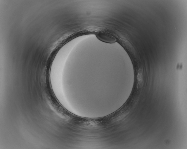 X0000111220492200907231444